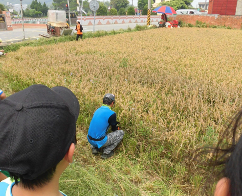 仔細聽著場長教學怎麼割稻