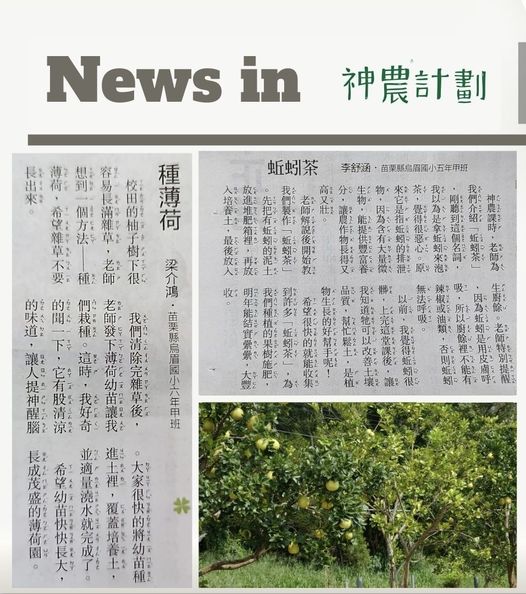 【和金馬影后一樣年僅12歲的神農小寫手】
 ​
 「 文章登上報紙是最蝦趴的事 …