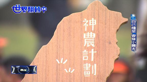 【影片】”神農計畫”從小扎根! 吃有機菜”校田變教室”