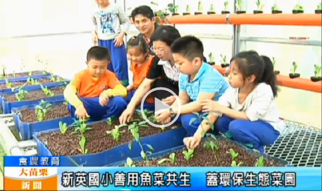 【新英國小 請魚兒來種菜】