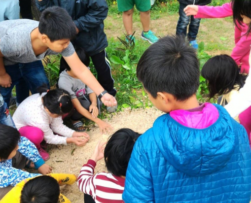 同光國小105學年度上學期