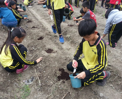 四林國小105學年度下學期