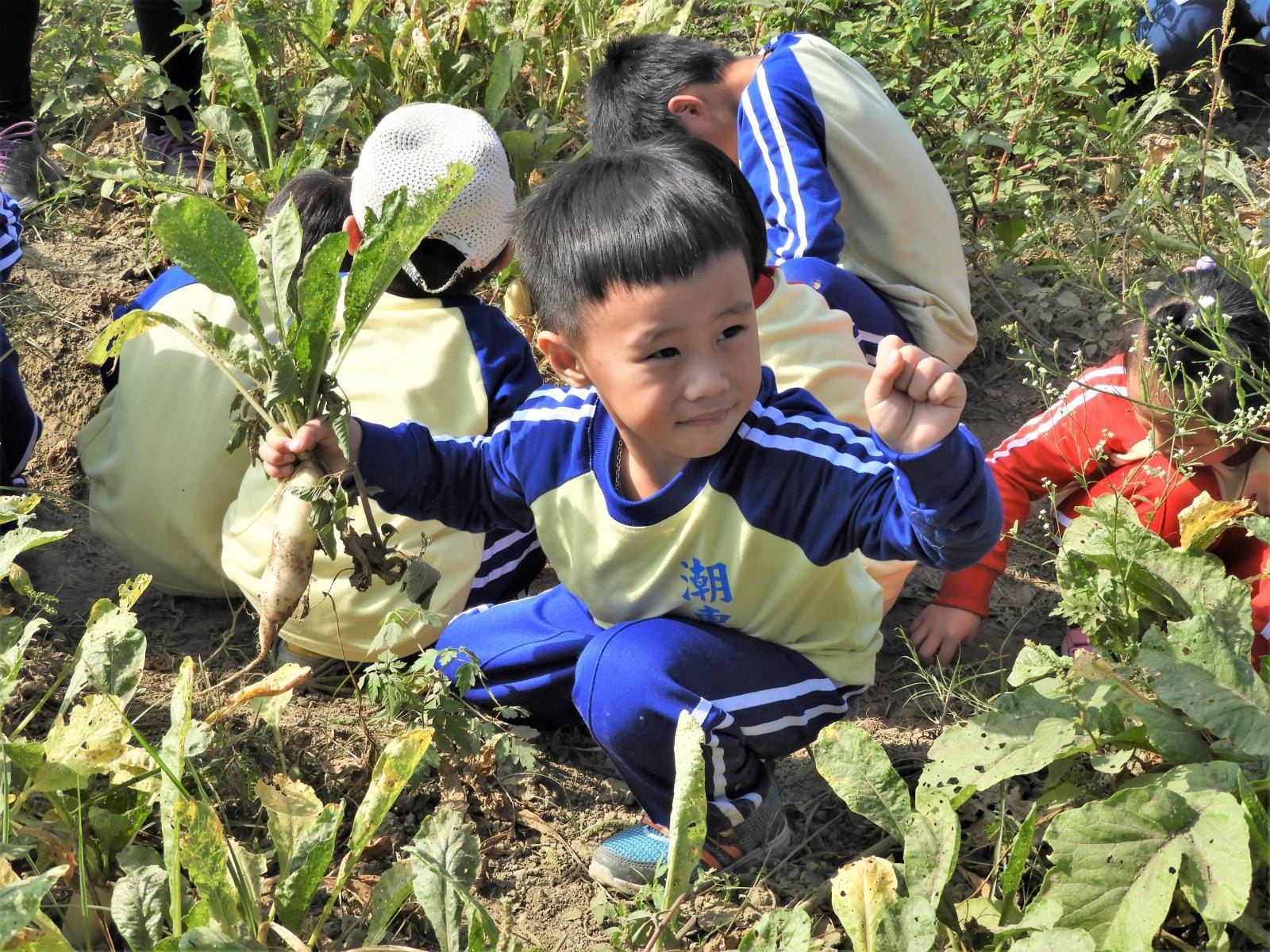 培訓最萌「見習農神」，田裡拔蘿蔔學食農