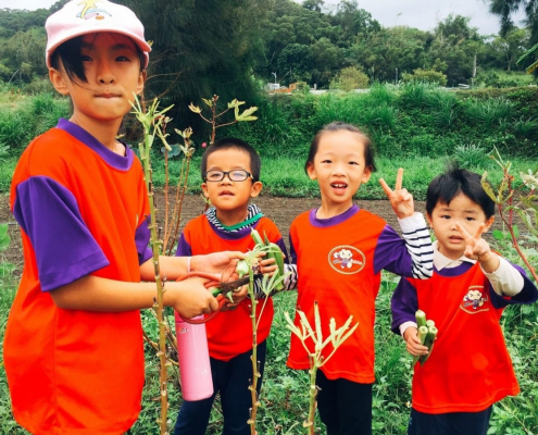 興隆國小106學年度上學期