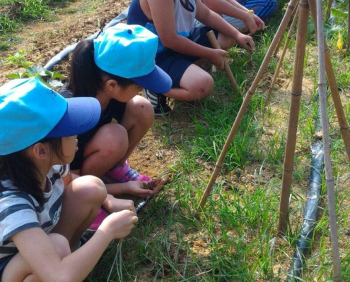 九湖國小105學年度下學期