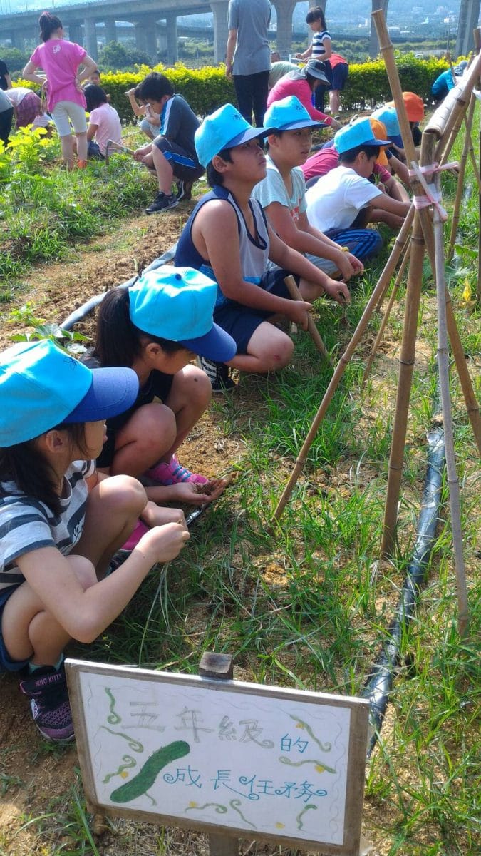 九湖國小105學年度下學期