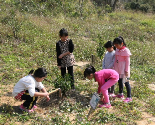 烏眉國小105學年度下學期