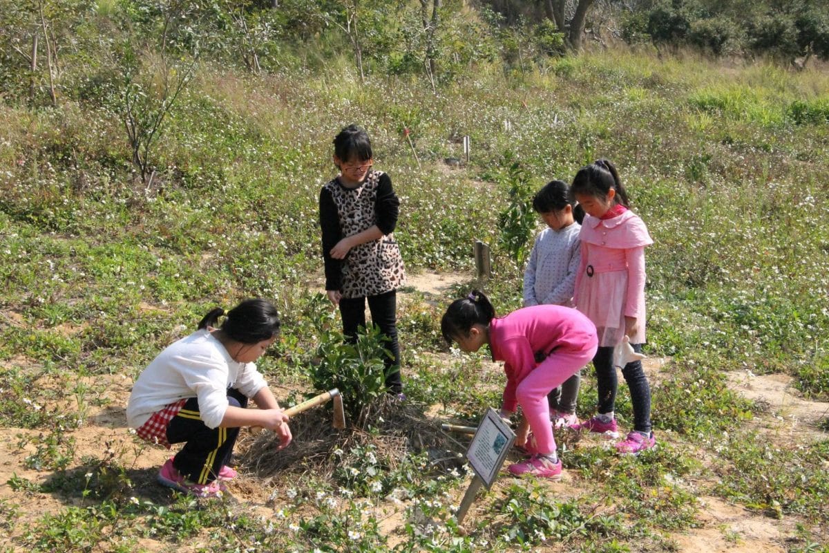 烏眉國小105學年度下學期
