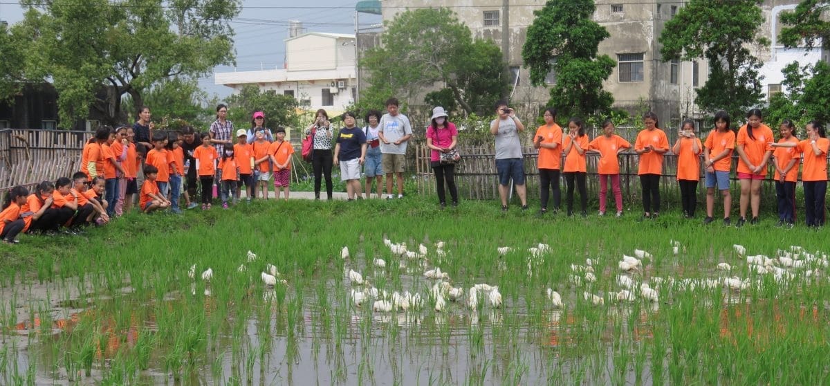 生物界的共生關係