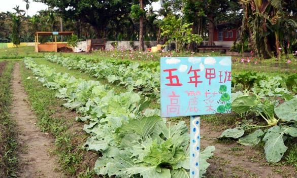 校田裡的生活課5：校田就是我們的課本 屏東潮南國小發展理念學校課程，從土地獲得意想不到的收穫