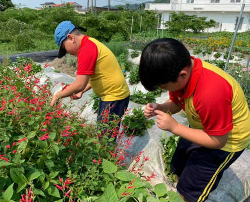 烏眉國小107學年度下學期
