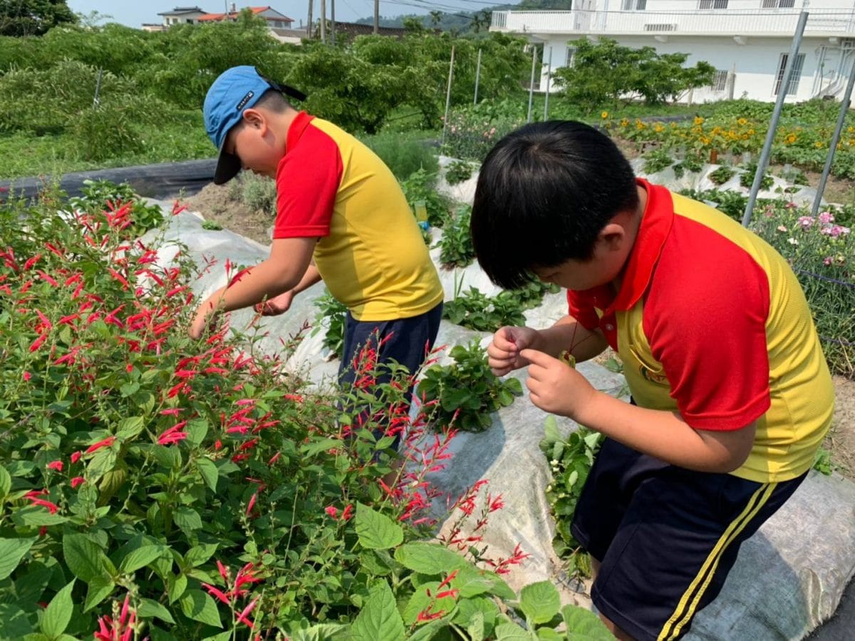 烏眉國小107學年度下學期