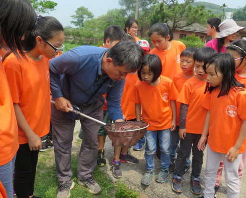 坪頂國小107學年度下學期