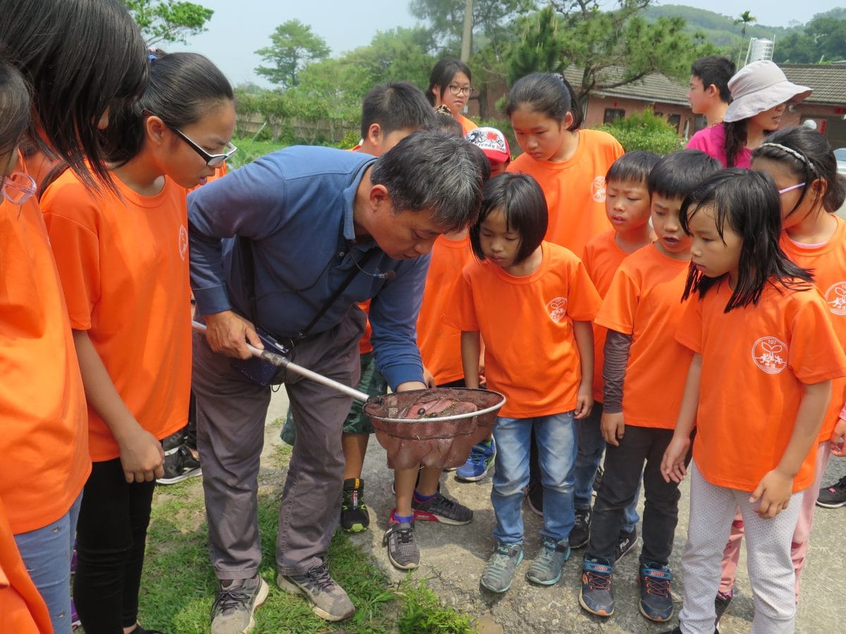 坪頂國小107學年度下學期