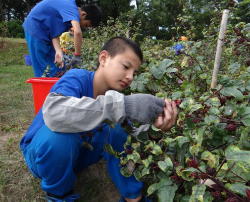 文峰國小108學年度上學期