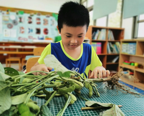 文峰國小108學年度下學期