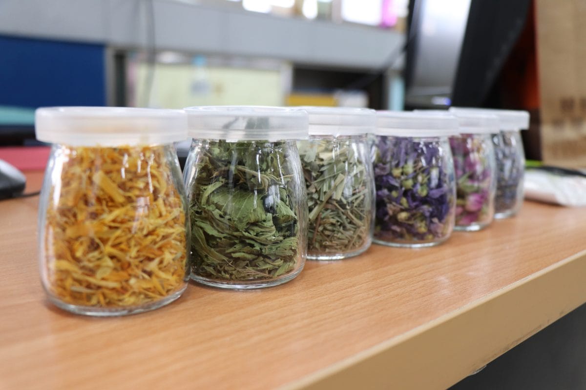 【屏東神農計劃】創新教育課程:香花草五感體驗與應用(109學年度上學期-低年級) 【屏東神農計劃】創新教育課程:香花草五感體驗與應用(109學年度上學期-低年級)