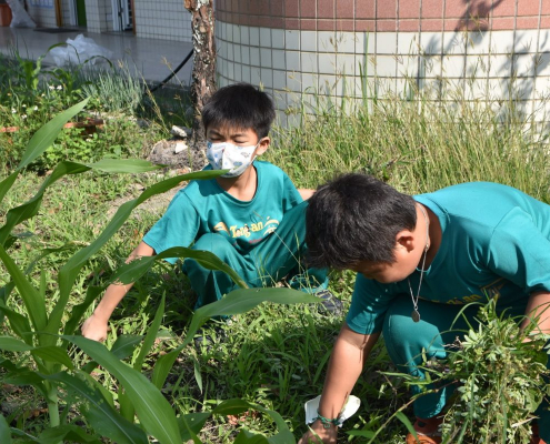 同安國小109學年度下學期